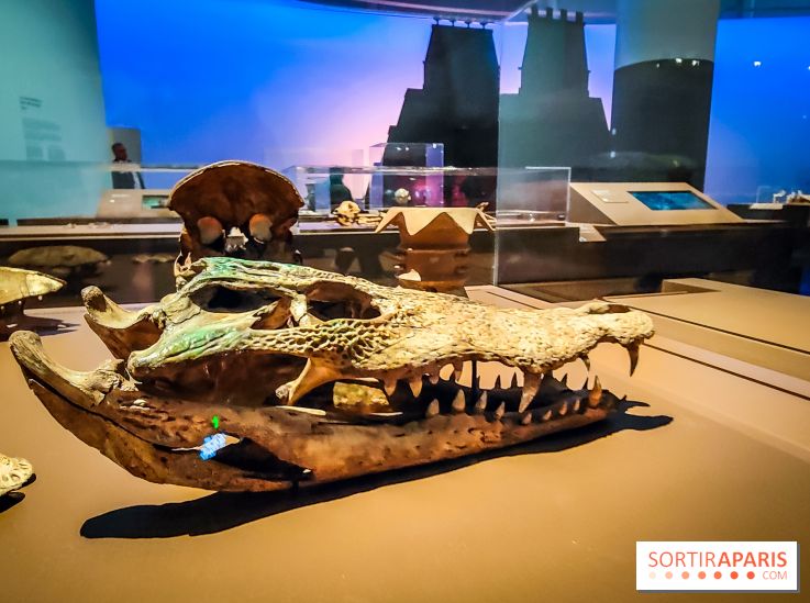 Mexica, des dons et des dieux au Templo Major : l'exposition du musée du Quai Branly se dévoile - IMG20240402105318