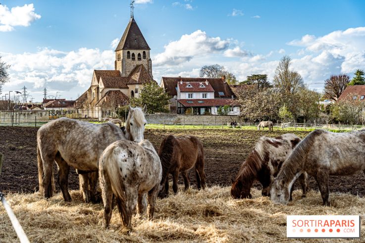 Le Parc du Château de Plaisir (78) - photos - A7C0032