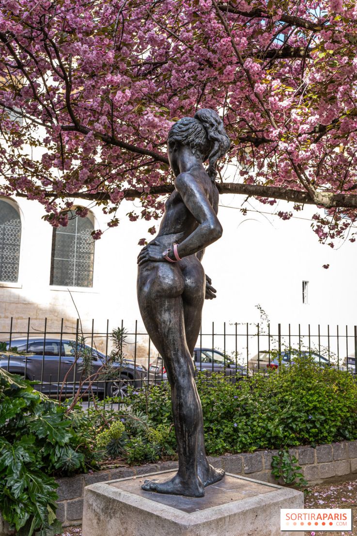 Square Gabriel Pierné à Paris - cerisiers en fleurs -  A7C0348