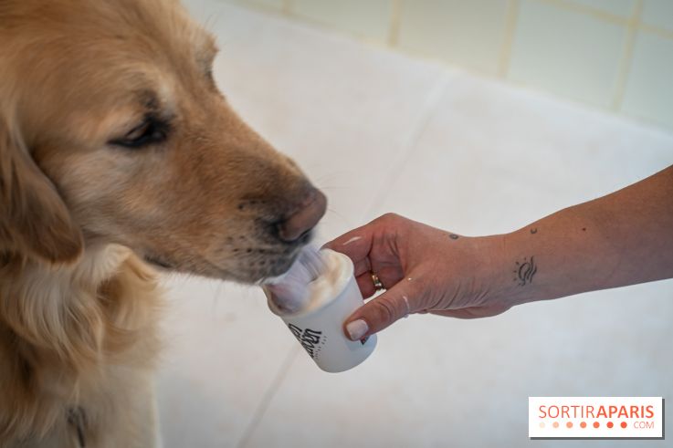 Seven Heaven, le coffee shop dog's friendly et kid's friendly de Paris 11e - River