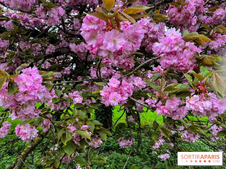 Arboretum de Paris - nos photos - image00035