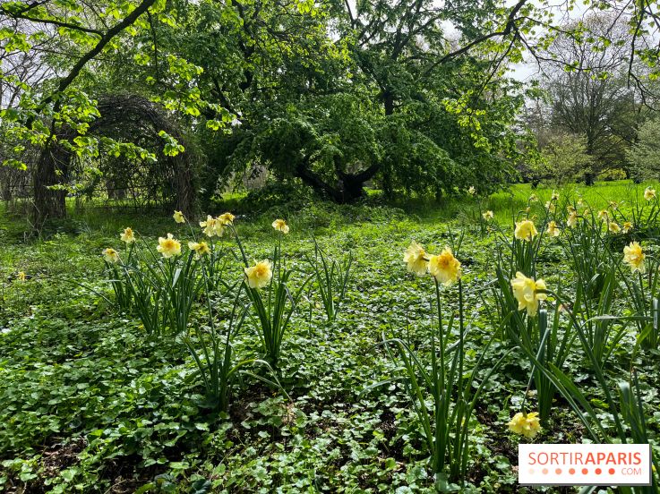 Arboretum de Paris - nos photos - image00029