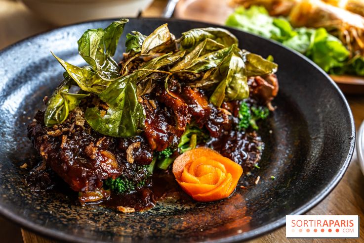 Q Bar, le bistrot et restaurant Thaïlandais à Paris - canard au tamarin