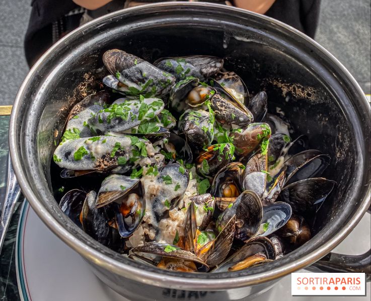 Rosalie Disney Village - IMG 5991 2