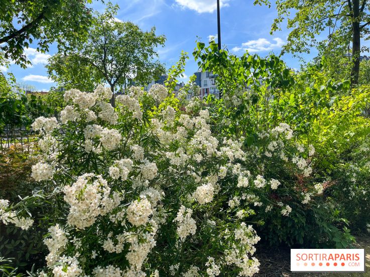 Jardin René Binet - nos photos