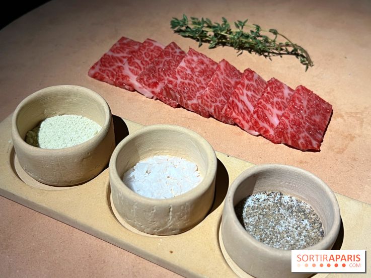 Marie Akaneya - Matsusaka Beef