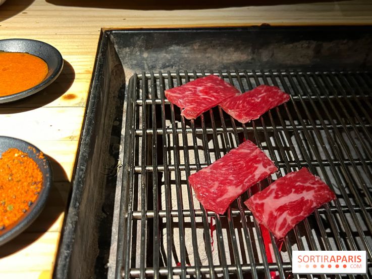 Marie Akaneya - Hampe de bœuf