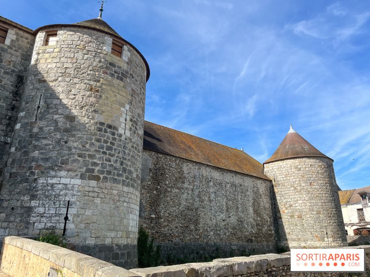 Château de Dourdan - nos photos - image00040