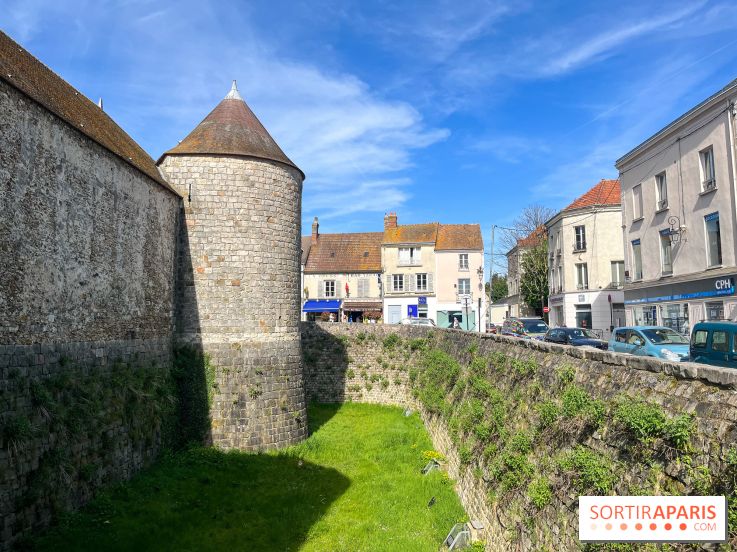 Château de Dourdan - nos photos - image00039