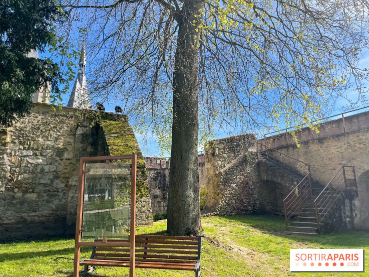 Château de Dourdan - nos photos - image00035