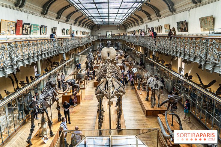 La Galerie de Paléontologie et d'Anatomie comparée du Muséum au Jardin des Plantes