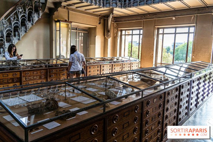 La Galerie de Paléontologie et d'Anatomie comparée du Muséum au Jardin des Plantes -  A7C7465