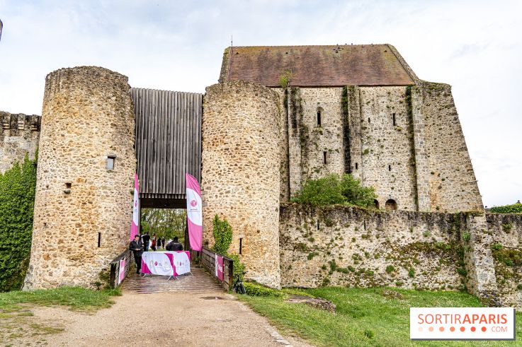 Les Rendez-vous de la Madeleine à Chevreuse -  A7C2466