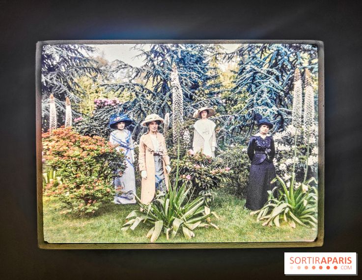 Natures vivantes : l'exposition photo qui met à l'honneur les jardins du musée Albert Kahn - photos - IMG20240429150531