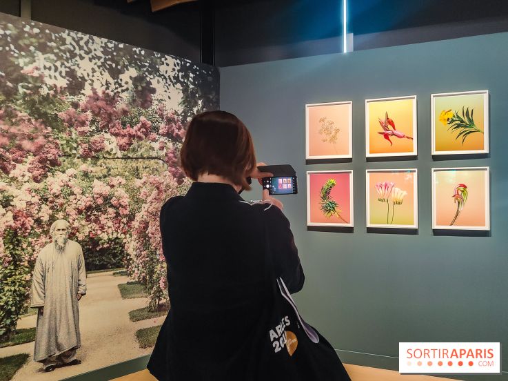 Natures vivantes : l'exposition photo qui met à l'honneur les jardins du musée Albert Kahn - photos - IMG20240429150718