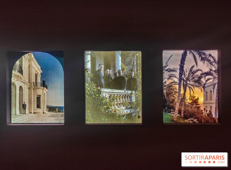 Natures vivantes : l'exposition photo qui met à l'honneur les jardins du musée Albert Kahn - photos