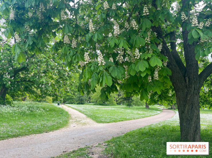 Le parc de Bois-Préau - nos photos
