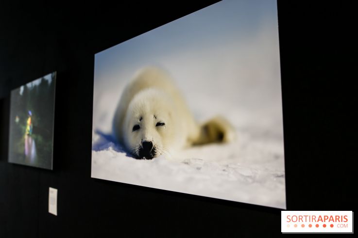 Reflets de la nature, nos photos de l'exposition