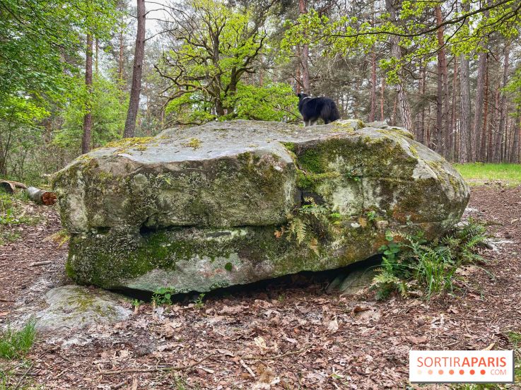 Dolmen de la Pierre Ardoue