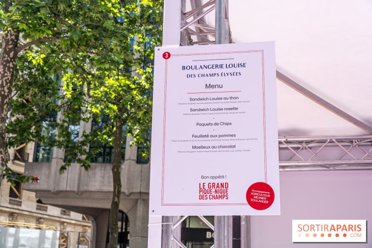 Grand pique nique des Champs-Élysées - photos