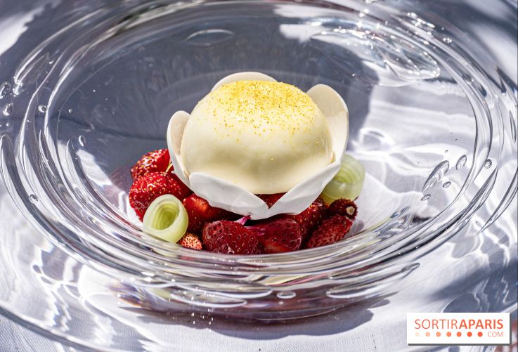 La terrasse jardin Summer de la Bauhinia au Shangri-La Paris -  A7C5638