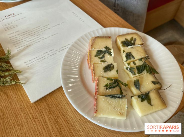 Ateliers herbes et plantes sauvages - IMG 1748 2