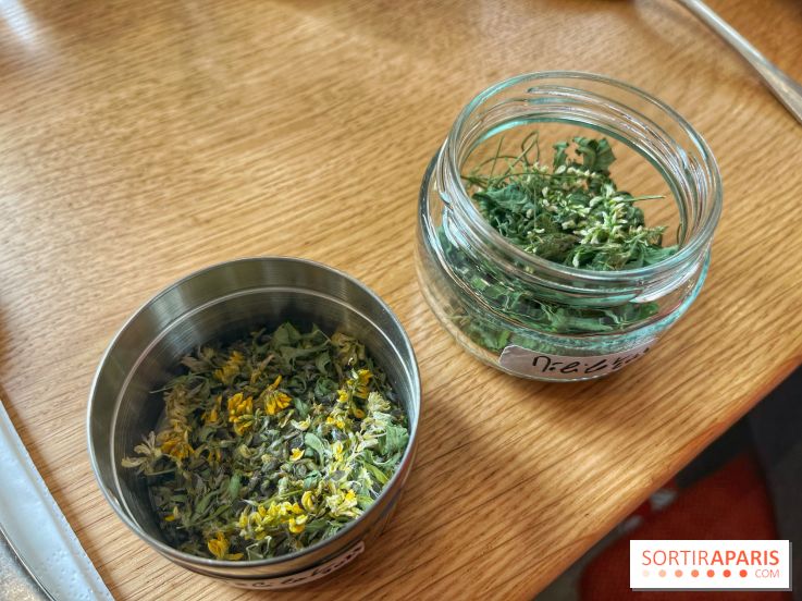Ateliers herbes et plantes sauvages