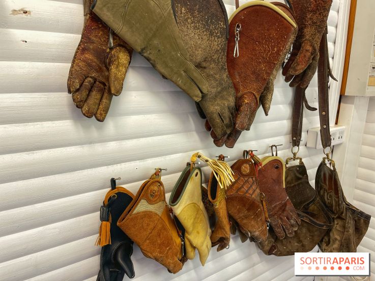 Fauconnier d'un jour - IMG 1414