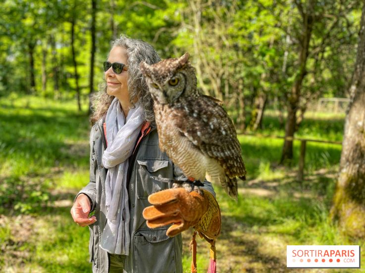 Fauconnier d'un jour - IMG 1420