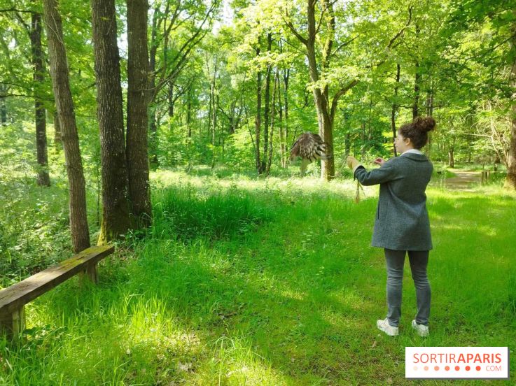 Fauconnier d'un jour - IMG 1429