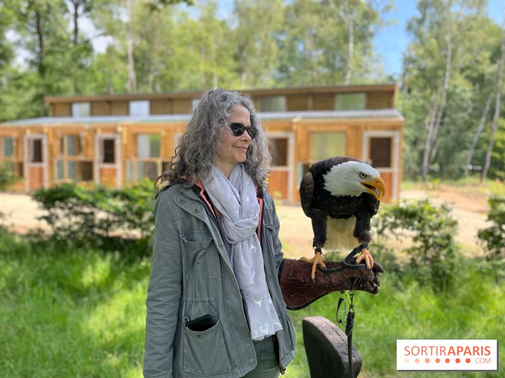 Fauconnier d'un jour - IMG 1445