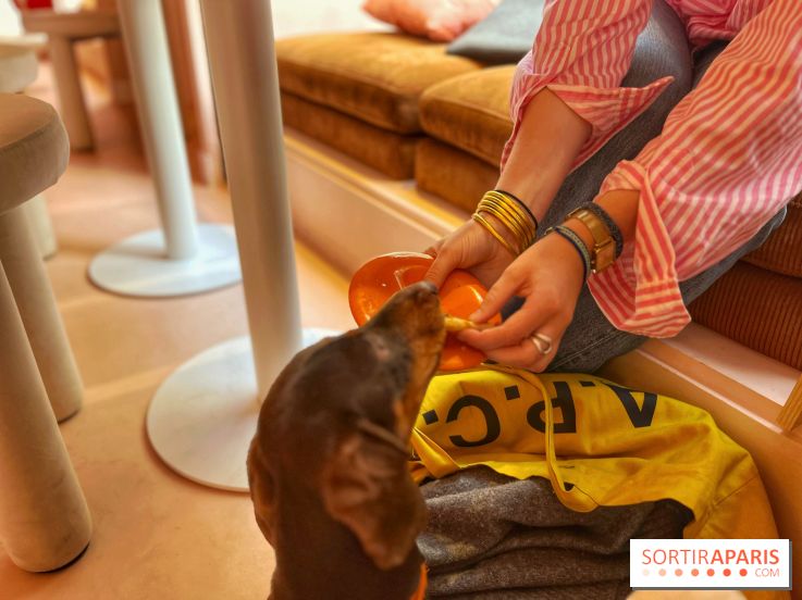 Casa del Doggo - IMG 1619