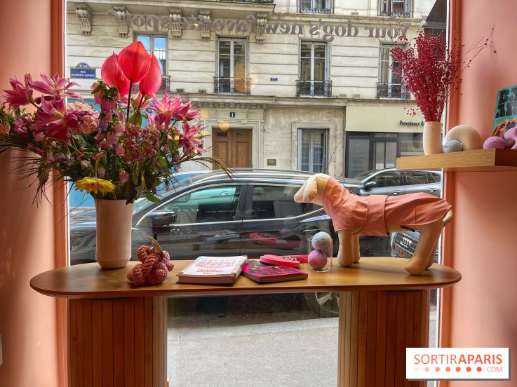 Casa del Doggo - IMG 1621