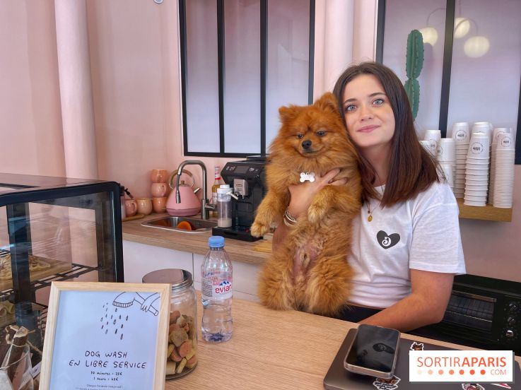 Casa del Doggo