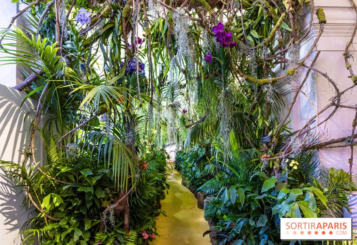 Exposition Paris à l'Hôtel de Ville - les Photos