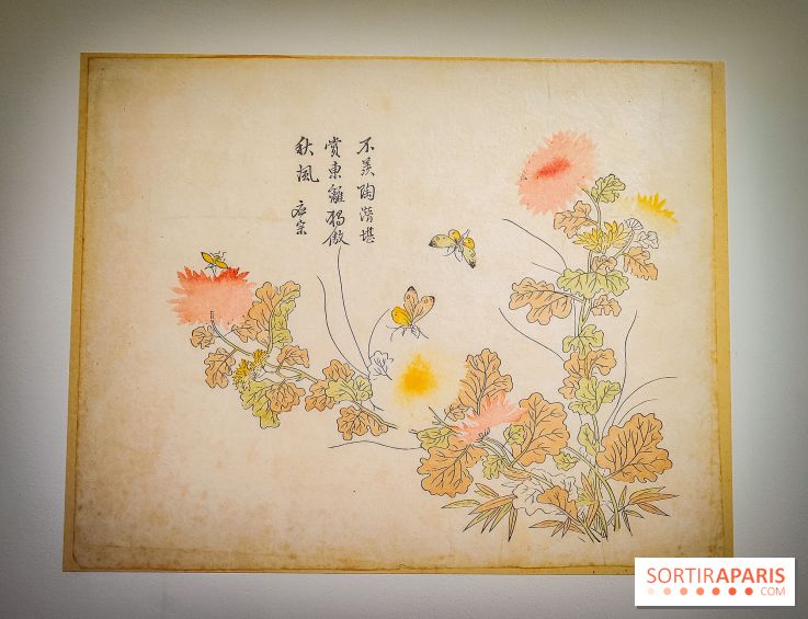 Au cœur de la couleur : l'exposition autour de la porcelaine de Chine au musée Guimet - nos photos - IMG20240611175418