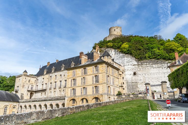 Le Château de la Roche Guyon, le château troglodyte dans le Val-d'Oise - 95 -  vue façade