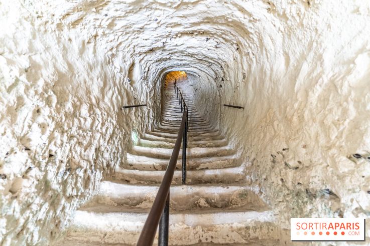 Le Château de la Roche Guyon, le château troglodyte dans le Val-d'Oise - 95 -  escalier dans la roche
