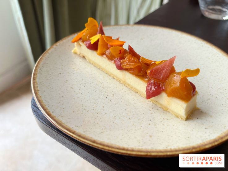 Matka - Cheesecake rhubarbe