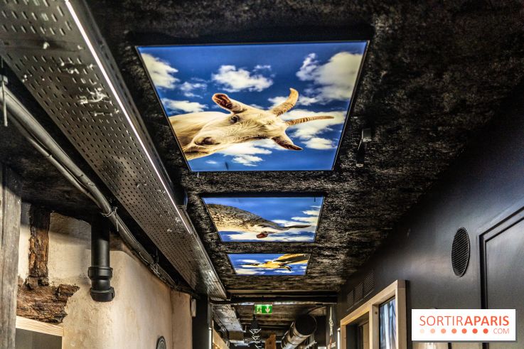 Musée du Fromage à Paris, les photos -  A7C6725