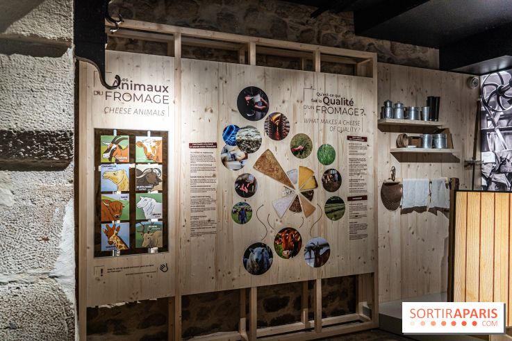 Musée du Fromage à Paris, les photos -  A7C6698