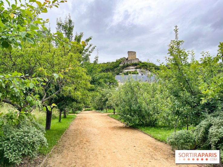 Potager-Fruitier de la Roche Guyon - nos photos - image00020