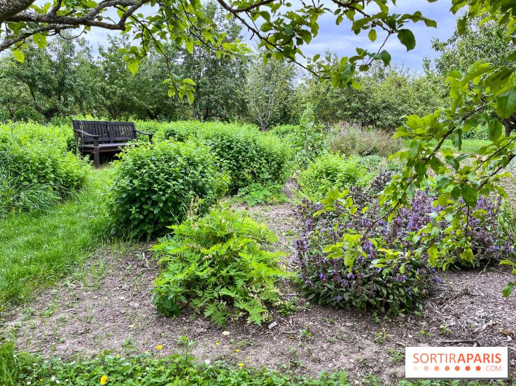 Potager-Fruitier de la Roche Guyon - nos photos - image00017