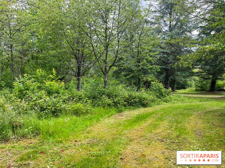 Arboretum de la Roche-Guyon - nos photos