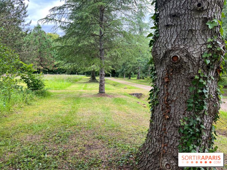 Arboretum de la Roche-Guyon - nos photos - image00009