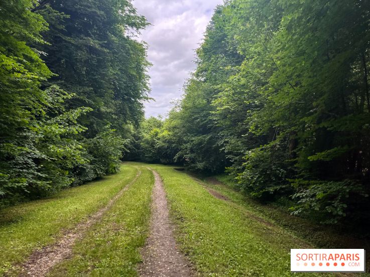 Arboretum de la Roche-Guyon - nos photos - image00001