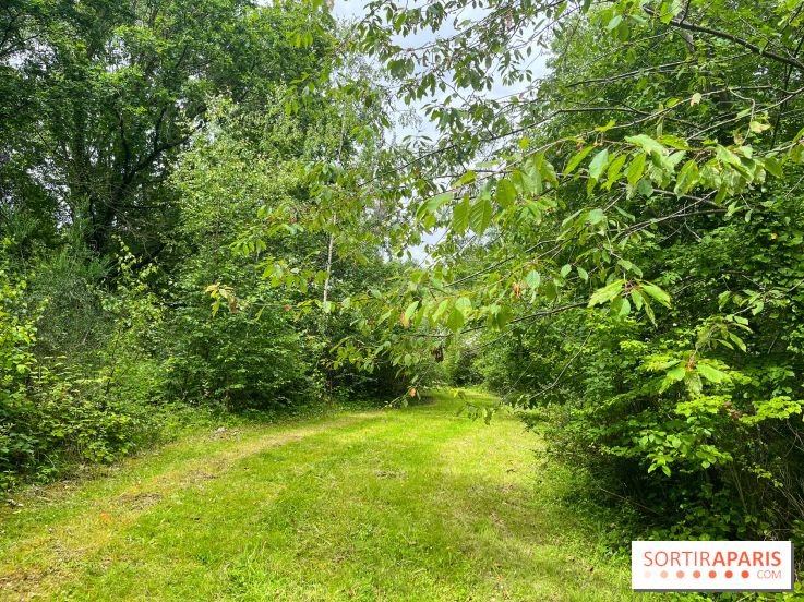 Arboretum de la Roche-Guyon - nos photos - image00002