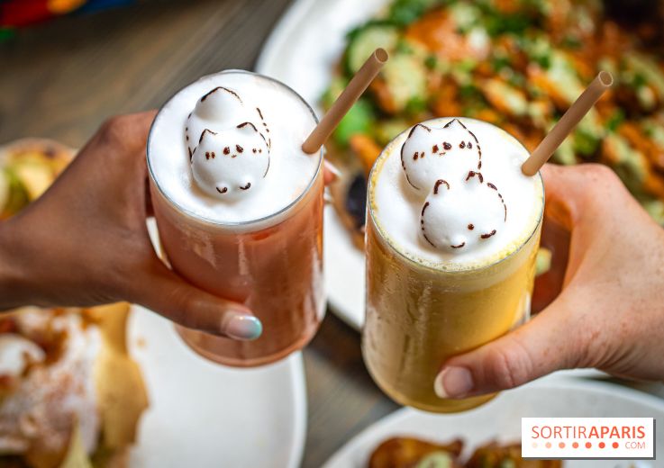 Brunch indien à Paris par Baranaan et Pingwoo -  lassis rose et mangue