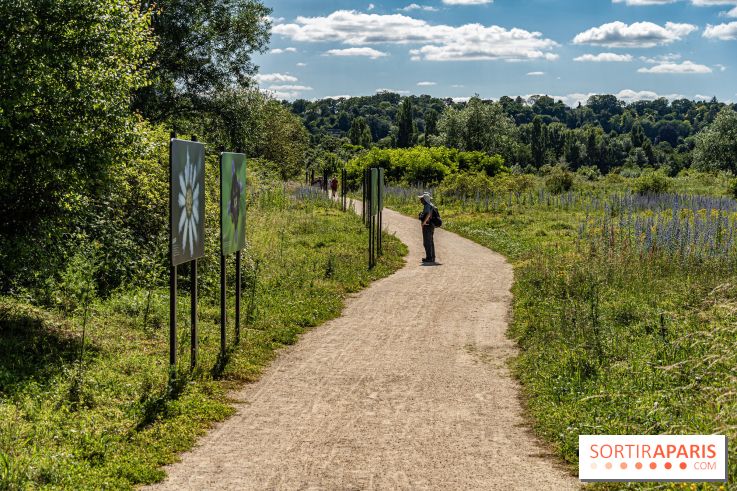 Le Parc du peuple de l'herbe dans les Yvelines - Étang de Galiotte - Carrières-sous-Poissy