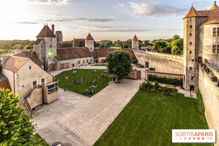 Lumières de Blandy : l'héritage des vicomtes, le spectacle sons et lumières -  A7C7964